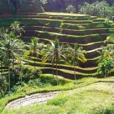 Rundreise Faszinierendes Bali