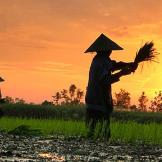 Rundreise Java Bali Overland 