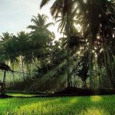 Rundreise Java Bali Overland 